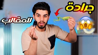 ألعاب المقالب والخدع 😍 1 | عمار ماهر