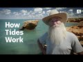 Understanding Tides and Their Influences