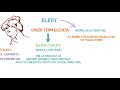 Understanding Elegy in English Literature