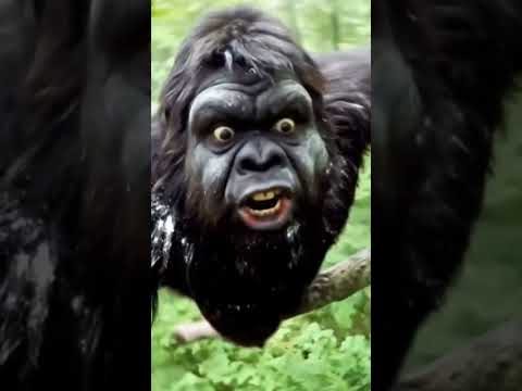 Bigfoot finds the power flour #shortsfeed #funny #bigfootvlog