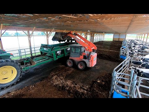 First Time Cleaning Out New Heifer Barn