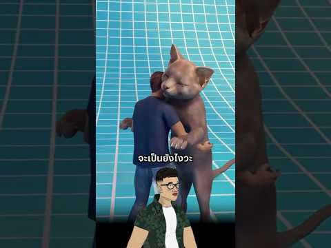 😸แมวตัวเล็กคิ้วท์ๆ...แต่ถ้าโตเท่าควาย 🐃 = RIP เจ้าของทันที 💀🔥#fyp #jackystoryboard #ความรู้รอบตัว