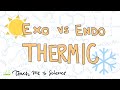 Exothermic and Endothermic Reactions Explained