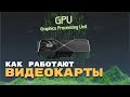      GPU [Branch Education  ]