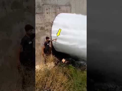 Never Touch Dam Water Like This! 😱🌊 #facts #trending #viral