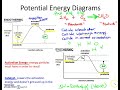 Endothermic vs Exothermic Reactions Explained