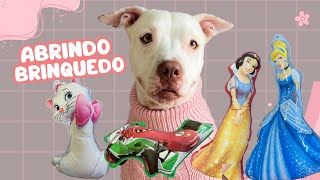 ABRINDO BRINQUEDOS DA DISNEY