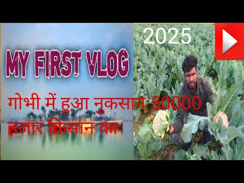 MY FIRST VLOGS गोभी में नुकसान हुआ #50000 हजार किसान तबियत बिगड़ी 2025 video