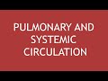 Human Circulatory System Concepts