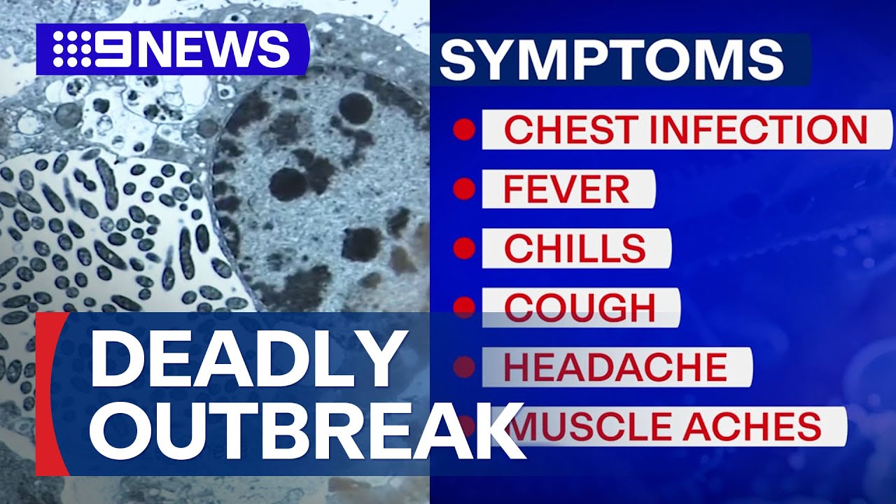 Melbourne’s Legionnaires’ outbreak turns deadly | 9 News Australia