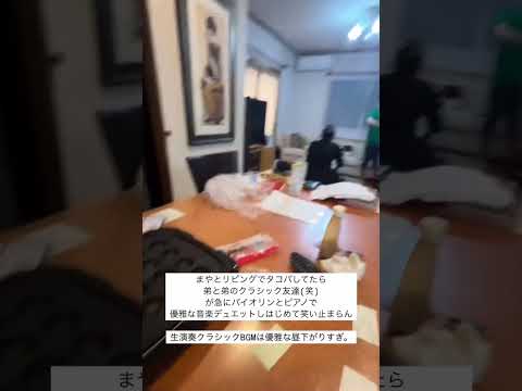 生演奏クラシックBGMは優雅な昼下がりすぎw
