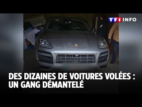 Des dizaines de voitures volées : un gang démantelé｜TF1 INFO