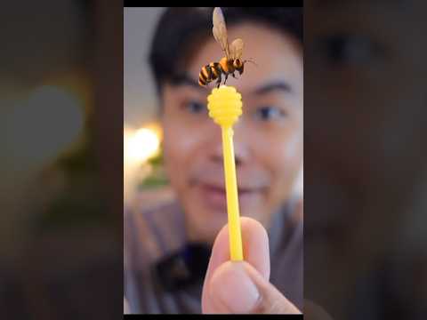 ขนมอะไรเนี่ย...รังผึ้งเหรอ? 🍯