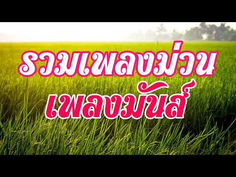 รวมเพลงม่วน เพลงมันส์