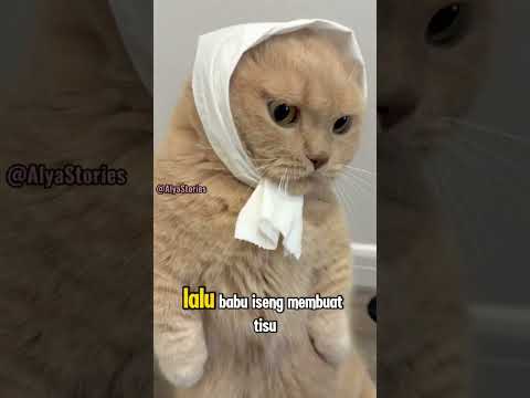 Awalnya Si Milo Gak Suka, Eh Ternyata Mau Juga