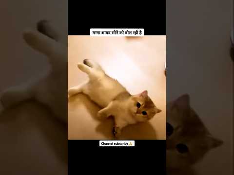 मम्मा शायद सोने को बोल रही है