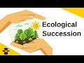 Exploring Ecological Succession: Primary vs. Secondary