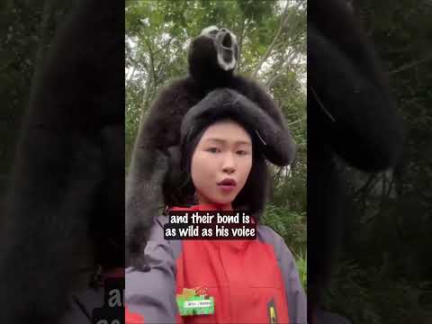 When Your Best Friend Is a Gibbon With a Voice!