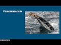 Types of Ecological Relationships