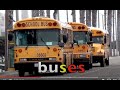 Plural Nouns and Their Rules