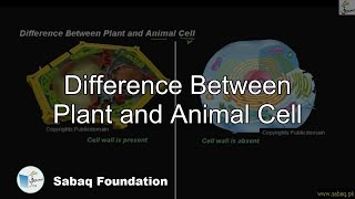Difference Between Plant and Animal Cell
