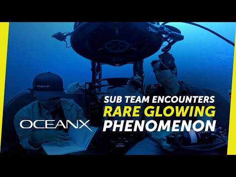 Hunting for a Deep-Sea Glow