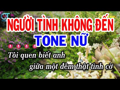 Karaoke Người Tình Không Đến Tone Nữ ( Am ) Nhạc Sống Tuấn Kiệt