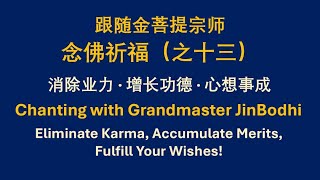跟随金菩提宗师念佛祈福（之十三）