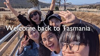 Welcome back to studying in Tasmania, Australia.