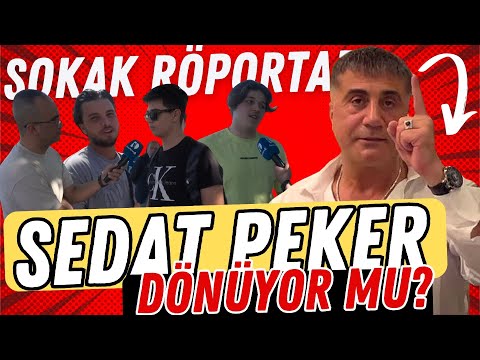 MHP'nin Sedat Peker Açıklaması Sokakta Nasıl Yankı Buldu ?