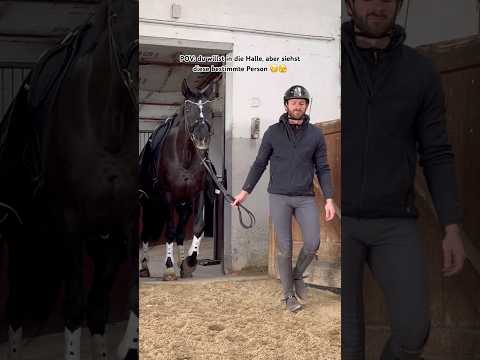 Hast du so eine Person im Stall? π«£ππ½ #pferd #equestrian #equestrianlife #horse #shorts #comedy