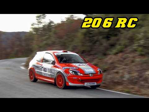 Peugeot 206 RC / GTI Rallycars | Intake & Exhaust sounds