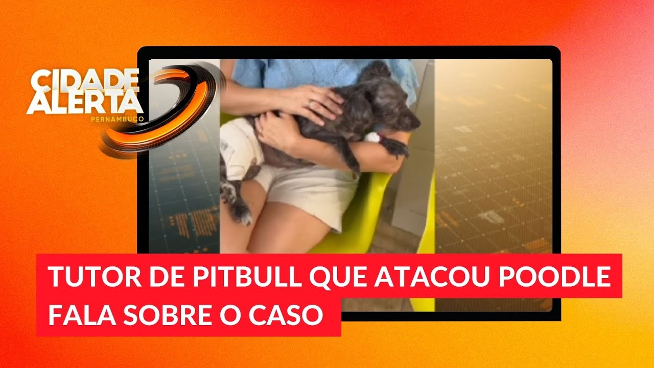 Tutor de pitbull que atacou poodle se pronuncia sobre o caso