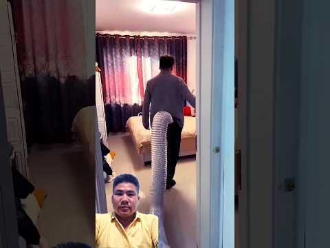 What is his tail for? #funny #rubytuankiet