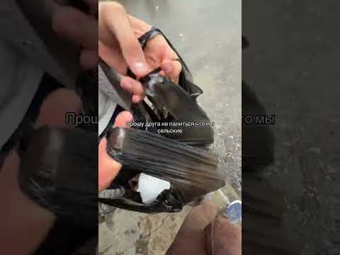 НЕ ПАЛИСЬ | tiktok: svoy975