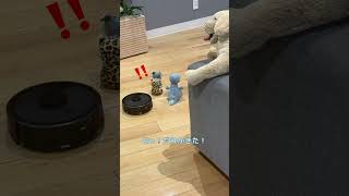 社員も知らない、オフィスのひみつ🤫🧸 #ルンバ #ロボット掃除機 #home #shorts
