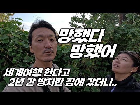 전원주택 2년 간 방치했더니 주인도 못 들어가는 땅이 됐어요.