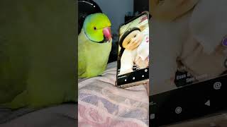 Funny talking parrot fun with baby 😂