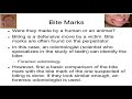 Forensic Analysis of Shoe Prints and Bite Marks