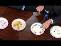 Milk Experiment and Gobstopper Reactions
