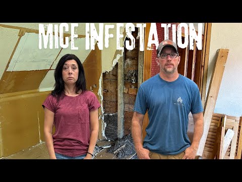 We Thought the FARMHOUSE was VACANT | Boy Were We WRONG!!!