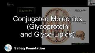 Conjugated Molecules, Glycoprotein, Glyco-Lipids