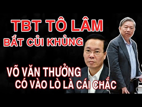 LONG TRỜI LỞ ĐẤT TBT TÔ LÂM ĐỐT LÒ ĐẠI ÁN LIÊN QUAN ĐẾN VÕ VĂN THƯỞNG CHẤN ĐỘNG CẢ NƯỚC