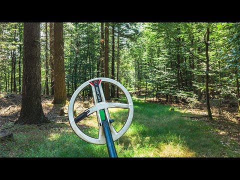 Maximum Effort In Hot Weather - On The Trail Of Other Detectorists