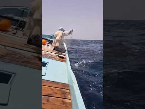 Menjala Ikan di Tengah Laut #short #jalaikan #jaringikan