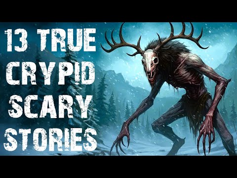 13 True Terrifying Cryptid & Skinwalker Scary Stories | Alien & UFO Horror Stories To Fall Asleep To