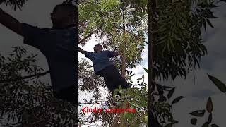 Please subscribe to my YouTube channel #nature #africanvillage #iammarwa