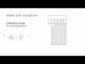 Hardy-Weinberg and Rate of Change