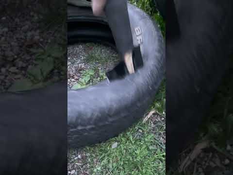 SERRATED COLD STEEL SHOVEL #subscribe #usa #shorts #bushcraft #viral #entertainment #satisfying #vs