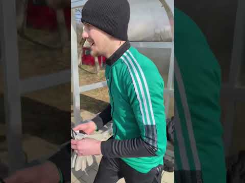 Der Keeper der eig immer auf der Bank sitzt. #shorts #torwart #fußball #deutsch #comedy